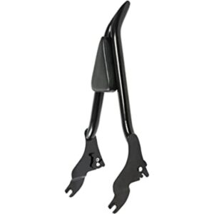 waltyotur 16 respaldo Sissy Bar desmontable con_1