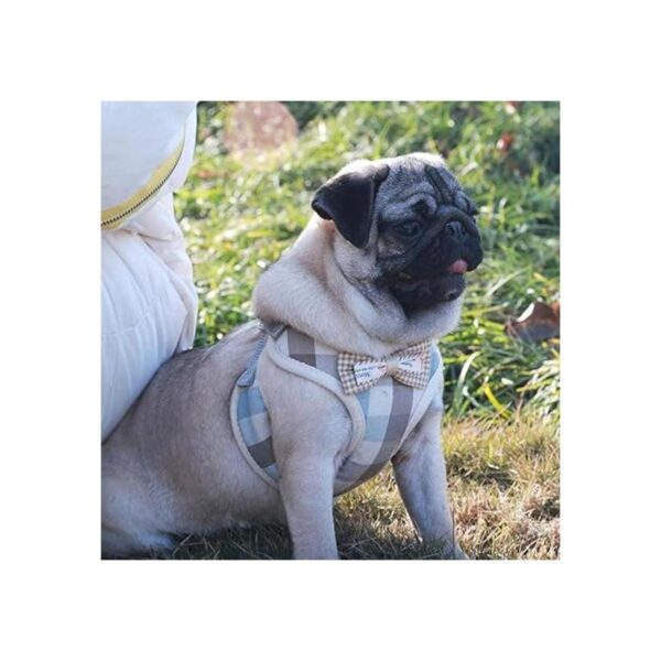 VOOPET Puppy Harness Easy to Put On Take Off Step in Dog