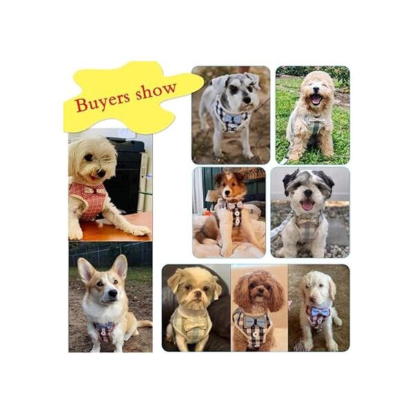 VOOPET Puppy Harness Easy to Put On Take Off Step in Dog