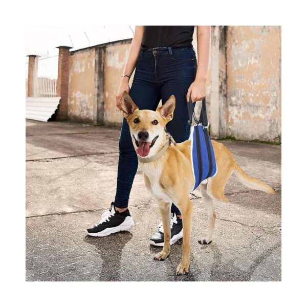 voopet Eslinga para perro ayuda a levantar las piernas