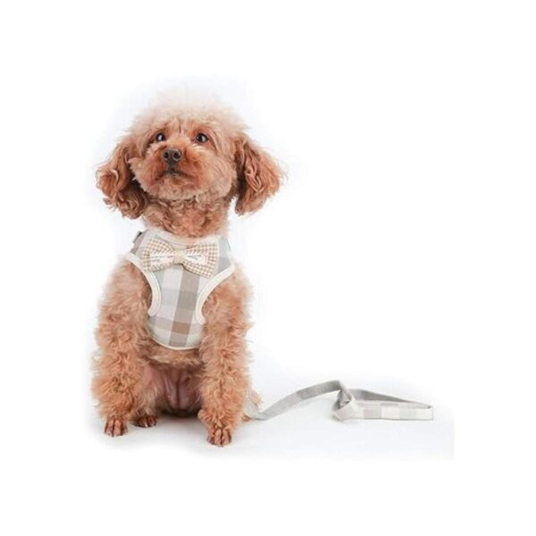 VOOPET Puppy Harness Easy to Put On Take Off Step in Dog