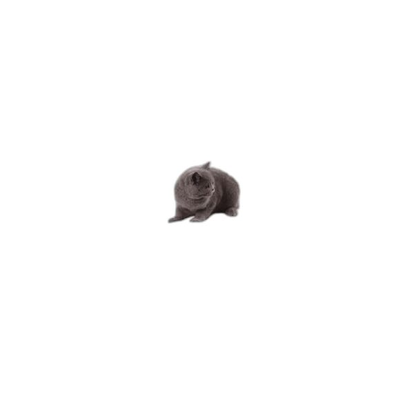 VIPACE Percha para ventana de gato asiento de hamaca para