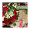 Paquete de 6 bloques de espuma floral húmedos y secos para_6