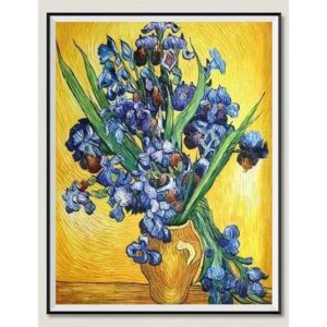 NIHOJIUAM Kits de pintura de diamantes Van Gogh Irises_1