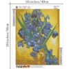 NIHOJIUAM Kits de pintura de diamantes Van Gogh Irises_4