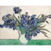 NIHOJIUMA Van Gogh Kits de pintura de diamantes iris