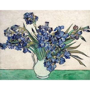 NIHOJIUMA Van Gogh Kits de pintura de diamantes iris