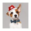 Collar de perro de Navidad de algodón con corbata de lazo_6