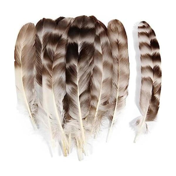 THARAHT 24 plumas de chinchilla gris natural a granel de 6
