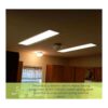 Sterl Lighting Juego de 8 bombillas fluorescentes rectas