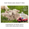 Friendsheep Bolas de lana para secador 6 unidades