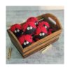 Friendsheep Bolas de lana para secador 6 unidades