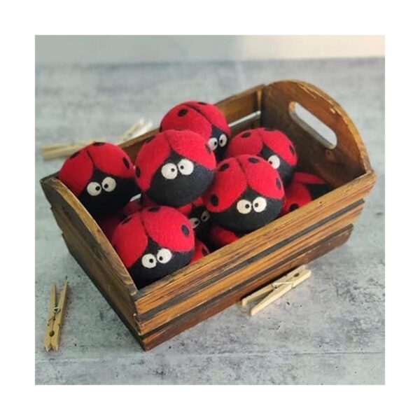 Friendsheep Bolas de lana para secador 6 unidades