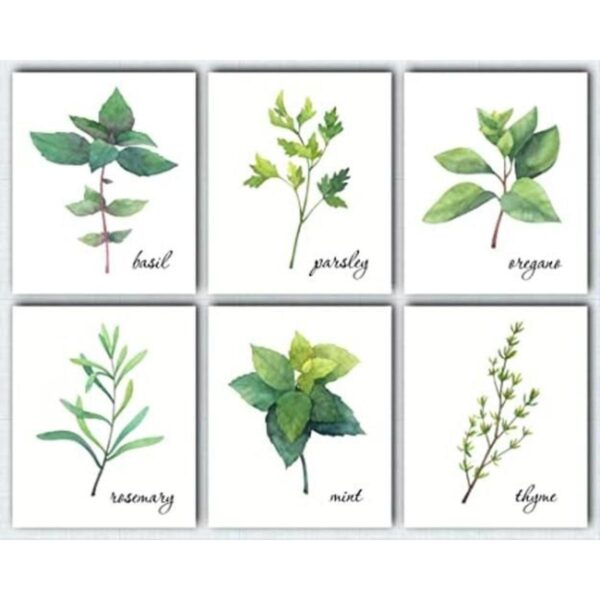 L O Goods Kitchen Herbs Wall Art Farmhouse rústico o