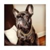 Collar de perro dorado con cadena dorada de 0.748 in con_3