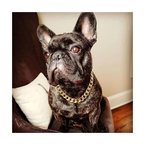 Collar de perro dorado con cadena dorada de 0.748 in con_3