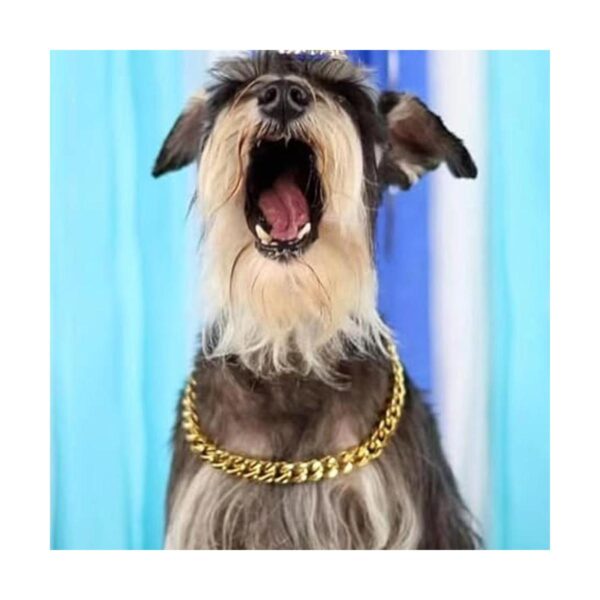 Collar de perro dorado con cadena dorada de 0.748 in con_2