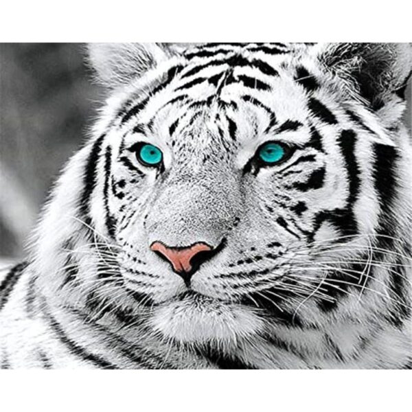 Pintura por números para adultos pintura al óleo de_1