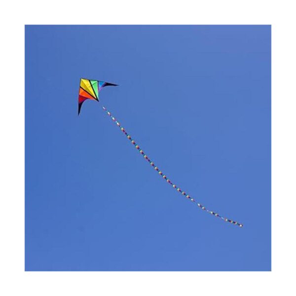 besra 110 inch arco iris Delta Cometa con Windsock 10 m_2