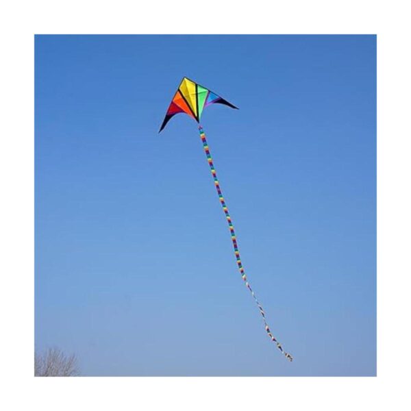 besra 110 inch arco iris Delta Cometa con Windsock 10 m_5