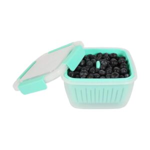 Shopwithgreen Berry Keeper Box con colador para_1