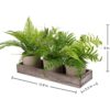 Paquete de 3 mini plantas falsas en maceta plantas_5