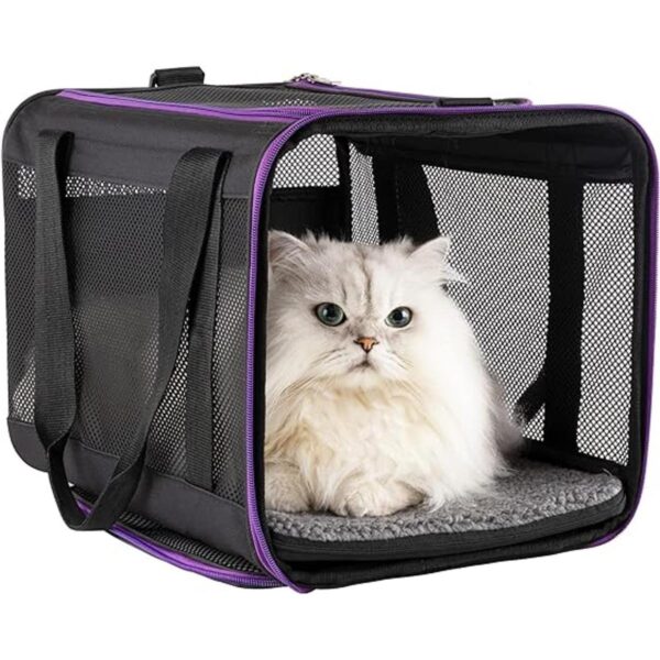 Petisfam Soporte de transporte para gatos grandes y