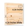 6 carteles de madera pequeña de madera sin terminar 6.26_3