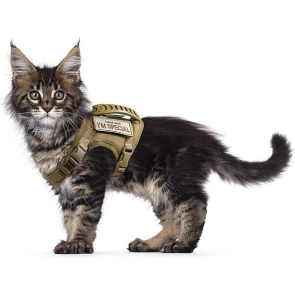 Arnés táctico para gatos para caminar a prueba de escapes