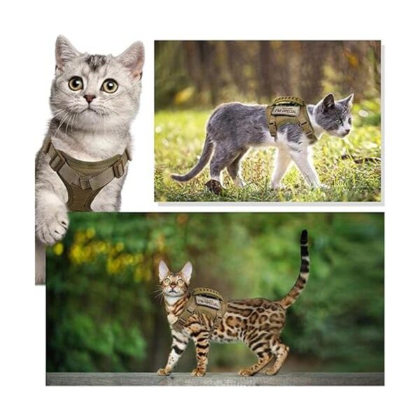 Arnés táctico para gatos para caminar a prueba de escapes