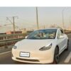 oFloral Car is Unlocked Keys Under German Shepherd Marco_3