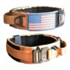 Diezel Pet Products Collar para perro con mango de_1