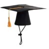 Mollensiuer 1 sombrero de graduación para mascotas color_1