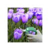 Mockins Professional Garden BYPASS tijeras de podar_2
