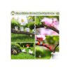 Modacraft 172 accesorios de jardín en miniatura que