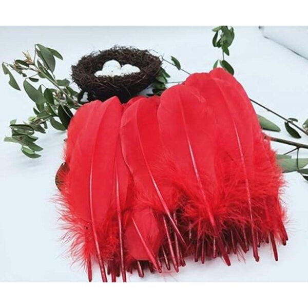 100 plumas de ganso natural teñidas en rojo de 6 a 8