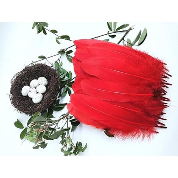 100 plumas de ganso natural teñidas en rojo de 6 a 8