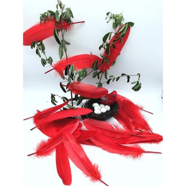 100 plumas de ganso natural teñidas en rojo de 6 a 8