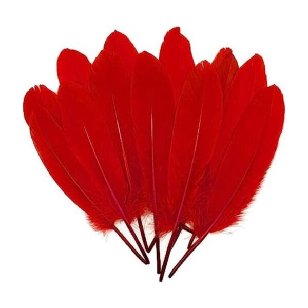 100 plumas de ganso natural teñidas en rojo de 6 a 8