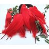 100 plumas de ganso natural teñidas en rojo de 6 a 8