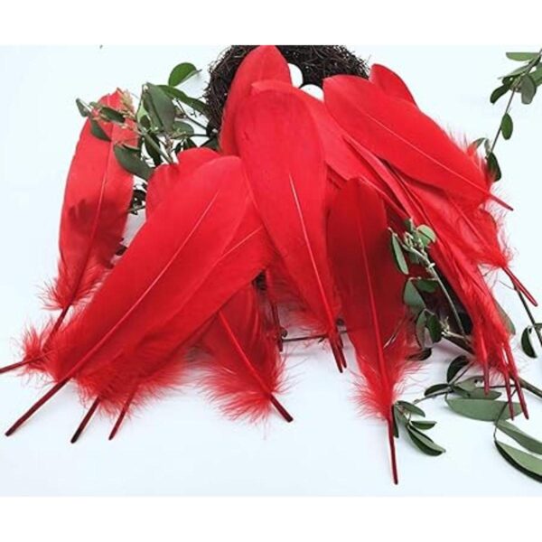 100 plumas de ganso natural teñidas en rojo de 6 a 8