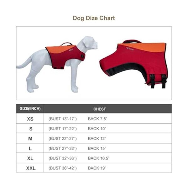 Chaleco salvavidas para perro estilo deportivo con_2
