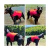Chaleco salvavidas para perro estilo deportivo con_5