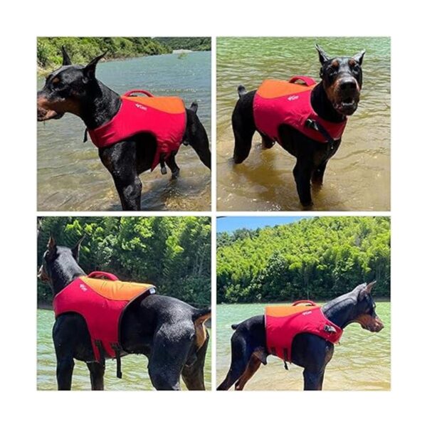 Chaleco salvavidas para perro estilo deportivo con_5