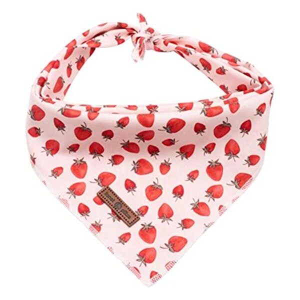 lionet paws Bandana para perros pequeños medianos y_1
