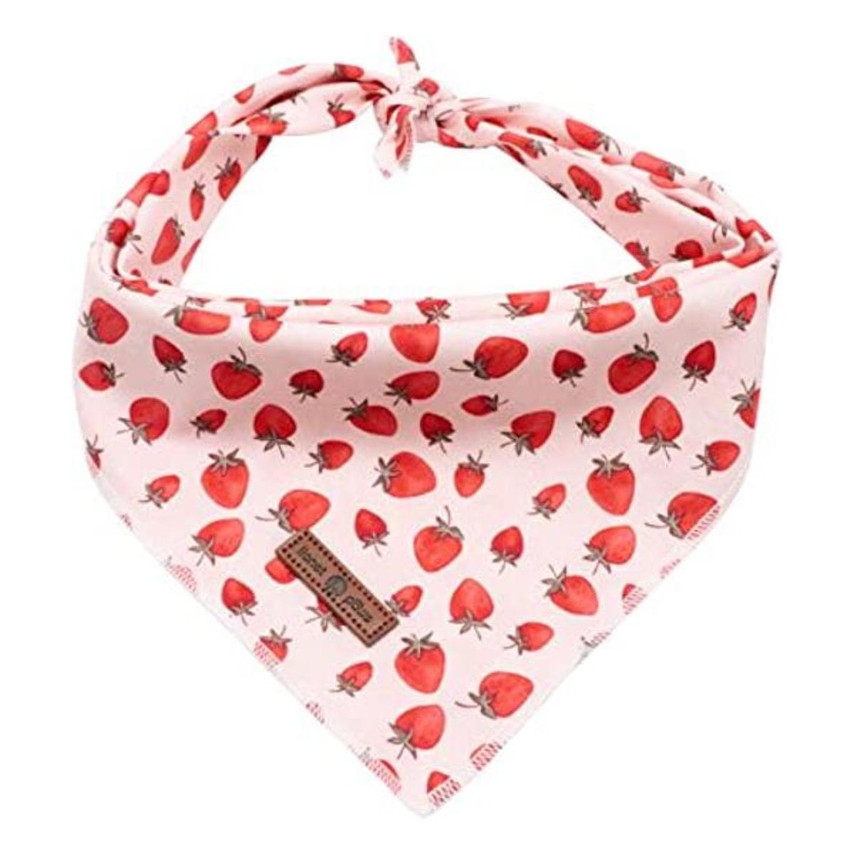 lionet paws Bandana para perros pequeños medianos y
