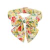Lionet Paws Collar para perro con pajarita suaves y_1