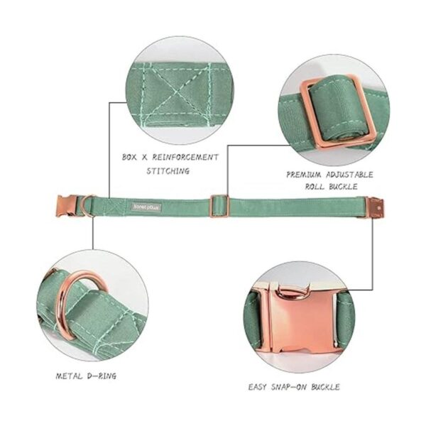 Lionet Paws Collar de perro con corbatín cómodo collar de_2