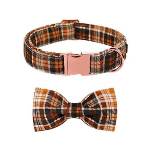 Lionet Paws Collar de perro de Halloween con corbatín_1
