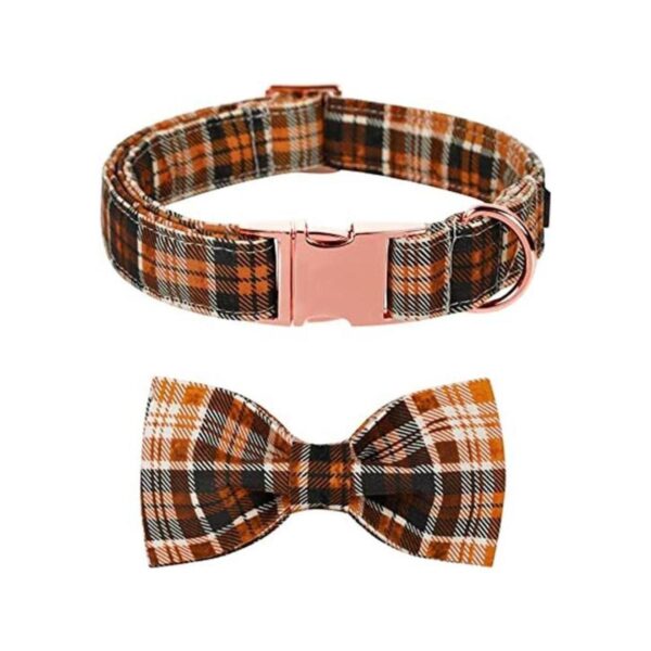 Lionet Paws Collar de perro de Halloween con corbatín_1